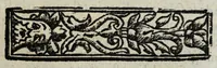 An illustration from I pomi d'oro / di Gio. Francesco Angelita, Roco Accademico Disuguale ; doue si contengono due lettioni, de' fichi l'vna, e de' melloni l'altra ; nelle quali non solo si scorgono le lor lodi, e le loro eccellenze, ma si scoprono molti segreti per vsarli, e per cultiuarli ; e si notano molti errori di diuersi grand'huomini intorno al loro sentimento ; aggiuntavi vna lettione della lvmaca doue si pruoua, ch'ella sia maestra della vita human .. (1607)