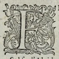 An illustration from I pomi d'oro / di Gio. Francesco Angelita, Roco Accademico Disuguale ; doue si contengono due lettioni, de' fichi l'vna, e de' melloni l'altra ; nelle quali non solo si scorgono le lor lodi, e le loro eccellenze, ma si scoprono molti segreti per vsarli, e per cultiuarli ; e si notano molti errori di diuersi grand'huomini intorno al loro sentimento ; aggiuntavi vna lettione della lvmaca doue si pruoua, ch'ella sia maestra della vita human .. (1607)