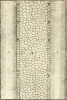 Picture 124 of 147 from I quattro libri dell'architettura di Andrea Palladio : ne quali dopo un breve trattato de' cinque ordini, e di quelli avvertimenti, che sono più necessarj nel fabbricare : si tratta delle case private, delle vie, dei ponti, delle piazze, dei xisti, e dei tempj (1790), leaf 263