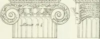 An illustration from I quattro libri dell'architettura di Andrea Palladio : ne quali dopo un breve trattato de' cinque ordini, e di quelli avvertimenti, che sono più necessarj nel fabbricare : si tratta delle case private, delle vie, dei ponti, delle piazze, dei xisti, e dei tempj (1790)