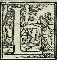 Picture 14 of 318 from I quattro libri dell'architettura di Andrea Palladio. (1581), leaf 21