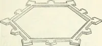 An illustration from I quattro primi libri di architettura di Pietro Cataneo senese .. (1554)
