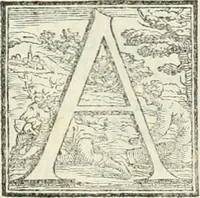 An illustration from I quattro primi libri di architettura di Pietro Cataneo senese .. (1554)
