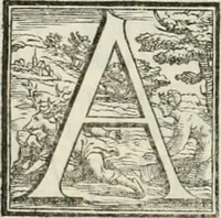 An illustration from I quattro primi libri di architettura di Pietro Cataneo senese .. (1554)