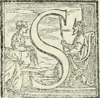 An illustration from I quattro primi libri di architettura di Pietro Cataneo senese .. (1554)