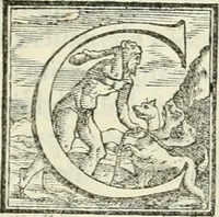 An illustration from I quattro primi libri di architettura di Pietro Cataneo senese .. (1554)