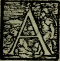An illustration from I qvattro libri delle osservationi (1562)