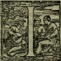 An illustration from I qvattro libri delle osservationi (1562)
