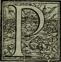 An illustration from I qvattro libri delle osservationi (1562)