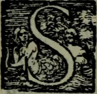 An illustration from I qvattro libri delle osservationi (1562)