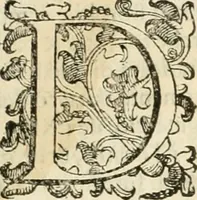An illustration from I qvattro libri dell'architettvra (1601)