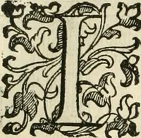An illustration from I qvattro libri dell'architettvra (1601)