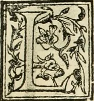 An illustration from I qvattro libri dell'architettvra (1601)