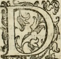 An illustration from I qvattro libri dell'architettvra (1601)