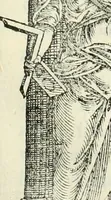 An illustration from I qvattro libri dell'architettvra (1601)