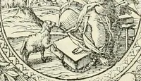 An illustration from I qvattro libri dell'architettvra (1601)