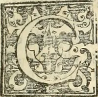 An illustration from I qvattro libri dell'architettvra (1601)