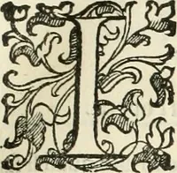 An illustration from I qvattro libri dell'architettvra (1601)