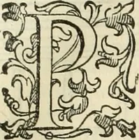 An illustration from I qvattro libri dell'architettvra (1601)