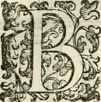 An illustration from I qvattro libri dell'architettvra (1601)