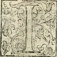 An illustration from I qvattro libri dell'architettvra (1601)