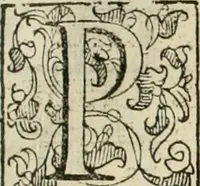 An illustration from I qvattro libri dell'architettvra (1601)