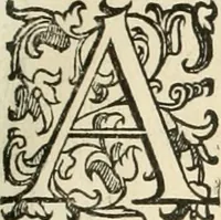 An illustration from I qvattro libri dell'architettvra (1601)