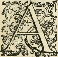 An illustration from I qvattro libri dell'architettvra (1601)