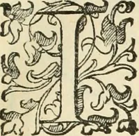 An illustration from I qvattro libri dell'architettvra (1601)