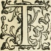 An illustration from I qvattro libri dell'architettvra (1601)