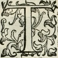 An illustration from I qvattro libri dell'architettvra (1601)