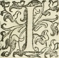 An illustration from I qvattro libri dell'architettvra (1601)