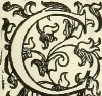An illustration from I qvattro libri dell'architettvra (1601)