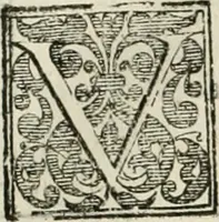 An illustration from I qvattro libri dell'architettvra (1601)