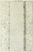 An illustration from I qvattro libri dell'architettvra di Andrea Palladio : ne' quali, dopo un breue trattato de' cinque ordini, & di quelli auertimenti, che sono piu necessarii nel fabricare; si tratta delle case private, delle vie, de i ponti, delle piazze, de i xisti, et de' tempij (1771)