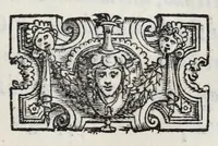 Picture 20 of 30 from I qvattro libri della caccia (1556), leaf 131