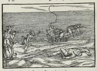 Picture 12 of 30 from I qvattro libri della caccia (1556), leaf 58
