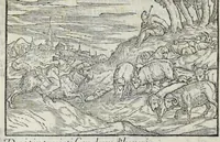 Picture 13 of 30 from I qvattro libri della caccia (1556), leaf 66