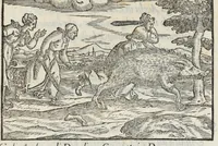 Picture 14 of 30 from I qvattro libri della caccia (1556), leaf 77