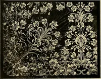 An illustration from Ireland: industrial and agricultural (1902)
