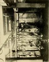 An illustration from Ireland: industrial and agricultural (1902)