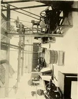 An illustration from Ireland: industrial and agricultural (1902)