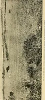 An illustration from Ireland: industrial and agricultural (1902)
