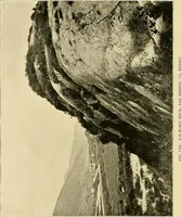 An illustration from Ireland: industrial and agricultural (1902)