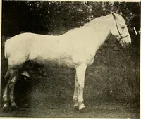 An illustration from Ireland: industrial and agricultural (1902)