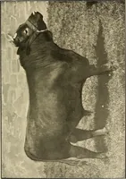 An illustration from Ireland: industrial and agricultural (1902)