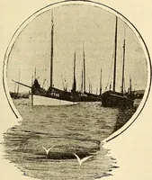 An illustration from Ireland: industrial and agricultural (1902)