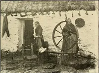 An illustration from Ireland: industrial and agricultural (1902)