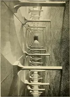 An illustration from Ireland: industrial and agricultural (1902)