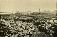 An illustration from Ireland: industrial and agricultural (1902)